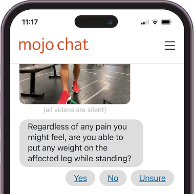 Mojo Chat